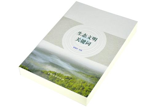 生态文明关键词 9276 系统结构 功能 生态环境 平衡 系统评估 景观生态学 环境科学 文明建设 经济基础设施 中国林业出版社 畅销书 商品图2