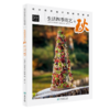 4本一套 生活四季花艺之春+夏+秋+冬 欧洲花艺名师的创意奇思 花艺书籍 创意花园编辑部编 比利时创意花艺编辑部 中国林业出版社 商品缩略图3