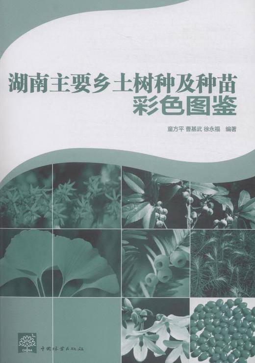 湖南主要乡土树种及种苗彩色图鉴 中国林业8105  科技 商品图1