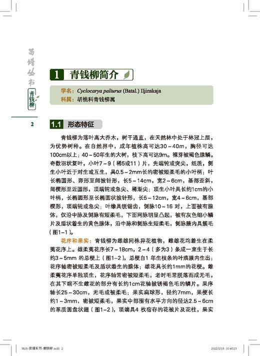 青钱柳 苗谱丛书 找得到专家 看得见苗圃 学得会育苗 刘勇 洑香香 尚旭岚 方升佐 1509 中国林业出版社 商品图3