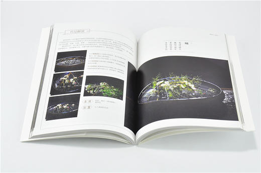 撒说 茶席插花 东方自然风插花系列9339花艺插花书鲜花妆花花艺礼盒中国林业出版社官方自营店正版畅销书 商品图3