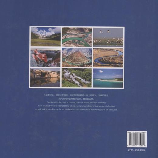 多样性的中国湿地   7585  科技 中国林业出版社 商品图2