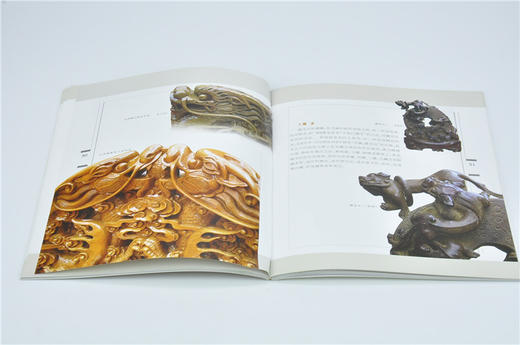 木雕神兽百态 中国传统木雕精品鉴赏5401木雕 根雕 艺术中国林业出版社官方自营店正版畅销书 商品图2