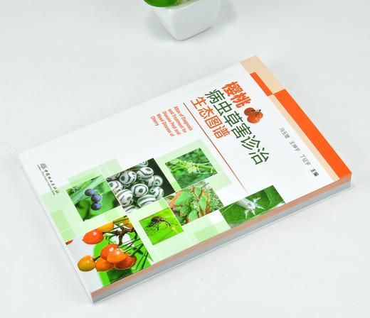 樱桃病虫草害诊治生态图谱 0240 冯玉增 王坤宇 丁征宇 樱桃病害虫害诊断与防治 果园主要杂草诊断与防治 工具书 中国林业出版社 商品图2