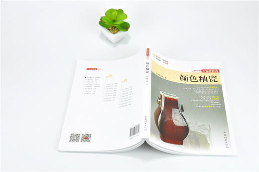 颜色釉瓷 行家带你选 9883 姚江波 断时代 辩真伪 评价值 为收藏 中国林业出版社 正版畅销书 商品图4