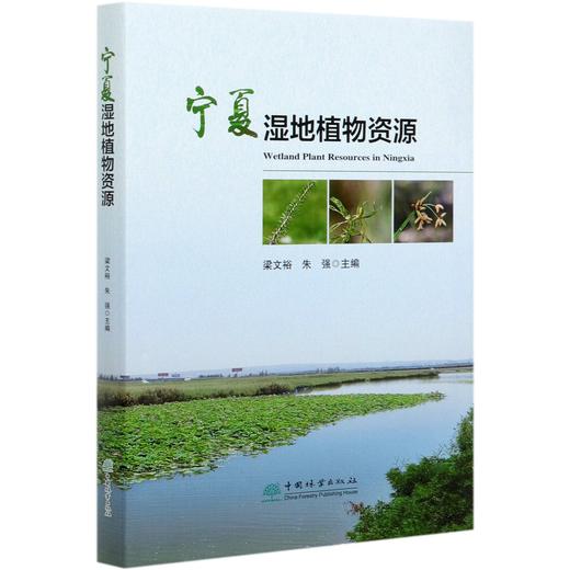 宁夏湿地植物资源 梁文裕 宁夏湿地植物多样性研究书  梁文裕//朱强 0594 中国林业出版社 商品图3