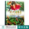 深圳植物志 (1卷)(精)  8951 中国林业出版社 商品缩略图0