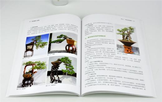 盆景制作与赏析 0186 赖娜娜 林鸿鑫 盆景造型艺术赏析教材 树木盆景制作 山水盆景制作 树石盆景制作 中国林业出版社 畅销书 商品图3