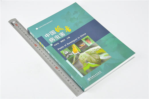 中国枫香病虫害 9737 中国林业有害生物防控系列 中国林业出版社 畅销书 商品图1