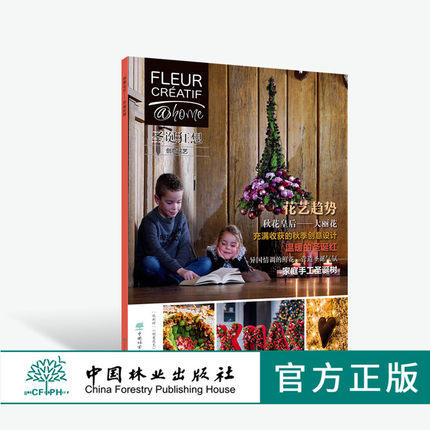 创意花艺 圣诞狂想 0427 Fleur Creatif中文版 花艺设计 商品图0
