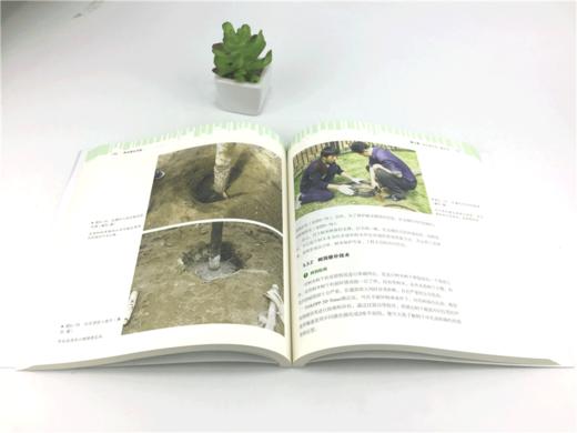 树木医生手册  丛日晨 李延明 弓清秀8952 一本为园林树木种植养护者答疑解惑的工具书 植物病虫害防治 中国林业出版社 正版畅销书 商品图3