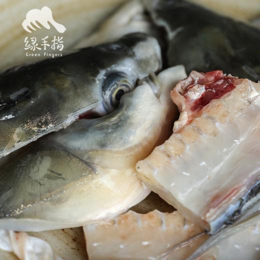 生态草鱼片/鱼腩/鱼骨 | 绿家自产 * Eco- Grass Carp | Self-production 商品图2