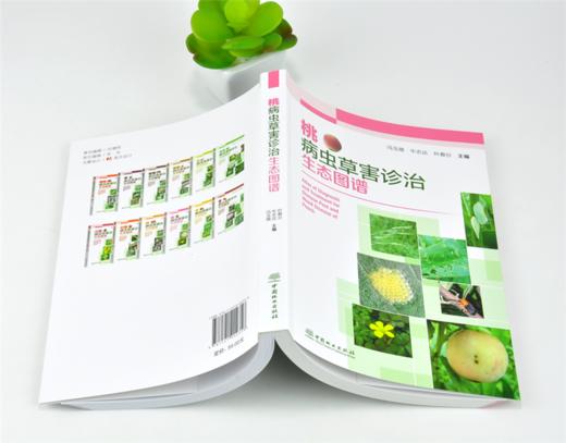 桃病虫草害诊治生态图谱 0235 冯玉增 牛志达 叶春分 桃病害虫害诊断与防治 果园主要杂草识别与防治 工具书 中国林业出版社畅销书 商品图4