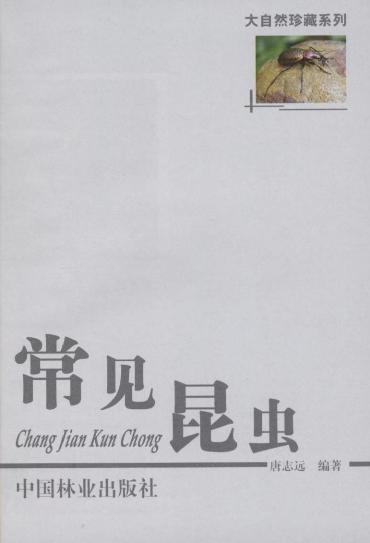 常见昆虫 中国林业出版社5168 商品图1