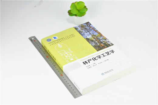 林产化学工艺学 9960 普通高等教育十三五规划教材 江苏省高等学校重点教材 全国高等院校林产化工*业系列教材 中国林业出版社 商品图1