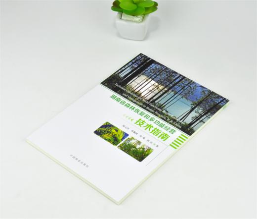 湖南省森林恢复和多功能经营技术指南 0132 陆元昌 邓鹰鸿 国红 刘瑾 著 中国林业出版社 商品图2