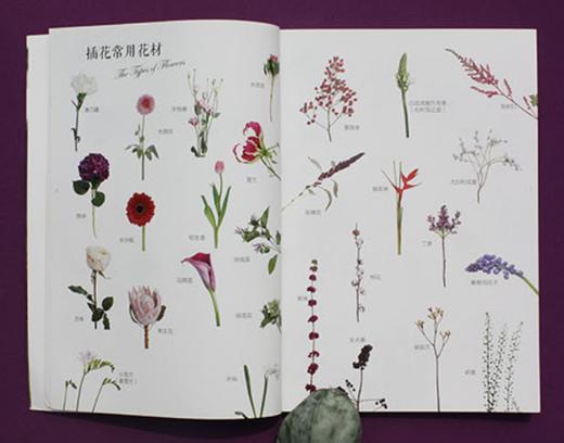 带束花去见想见的人9002花视觉系列花店工作室花房干花鲜花花束花艺插花书籍 入门基础中国林业出版社自营店 正版畅销书 商品图4