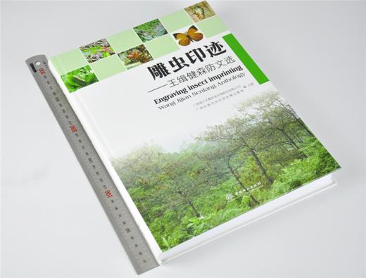 雕虫印迹 王缉健森防文轩 9578 中国林业出版社 畅销书籍 商品图2