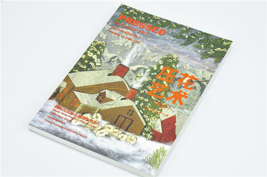 压花艺术 中级 7897 教学花艺 中国林业出版社官方自营店正版畅销书 商品图2