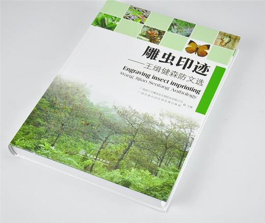 雕虫印迹 王缉健森防文轩 9578 中国林业出版社 畅销书籍 商品图1