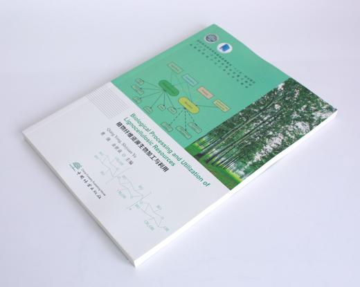 植物纤维资源生物加工与利用（英文版）0358 勇强 余世袁主编 0358 普通高等教育十三五规划教材 高等院校林产化工专*系列教材 商品图2