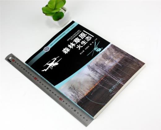 森林草原火生态 9989 舒立福 刘晓东 杨光 主编 国家林业和草原局普通高等教育十三五规划教材 中国林业出版社 商品图1
