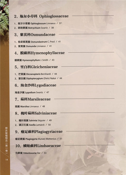 神农架植物志 一卷9458湖北神农架植物资源多样性生态分布分类种类品种大全研究书籍中国林业出版社官方旗舰店正版畅销书 商品图2
