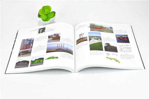 风景园林师的1000个提示 9831 中国林业出版社 正版畅销书 商品图3