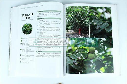 中国果树地方品种图志 中国核桃地方品种图志 9402 中国林业出版社 畅销书籍 商品图3