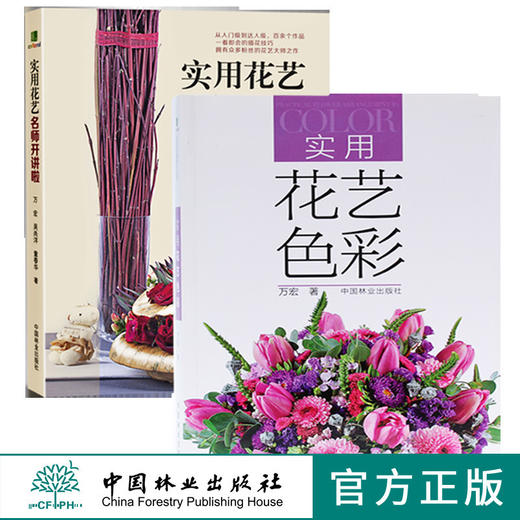 实用花艺名师开讲啦7310+实用花艺色彩6982 两本套装花艺配色色系花艺搭配插花软装色彩搭配中国林业出版社官方自营店正版畅销书 商品图0