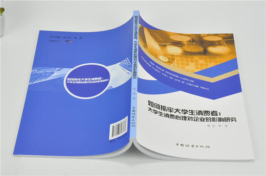 如何抓牢大学生消费者 大学生消费心理对企业的影响研究 9736 范琛 中国林业出版社 畅销书 商品图4