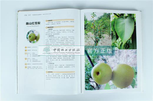 套装 中国果树地方品种图志 14本/套 枣 杏 桃 柿 李 梨 樱桃 石榴 山楂 葡萄 苹果 核桃 板栗 猕猴桃 中国林业出版社 畅销书籍 商品图4
