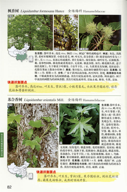 常见药用植物快速识别 9318 植物快速识别丛书 中国林业出版社 商品图4