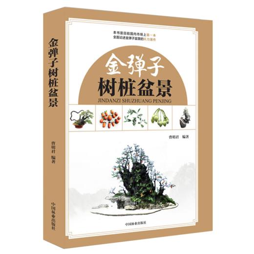 正版 盆景4本 绘图盆景造型2000例 6674 +树桩盆景实用技艺手册7372+盆景创作笔记1 书号0209+金弹子树桩盆景 9232   玩转盆景类书 商品图1