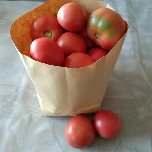 自然农法种植8种蔬菜组合箱 商品图1