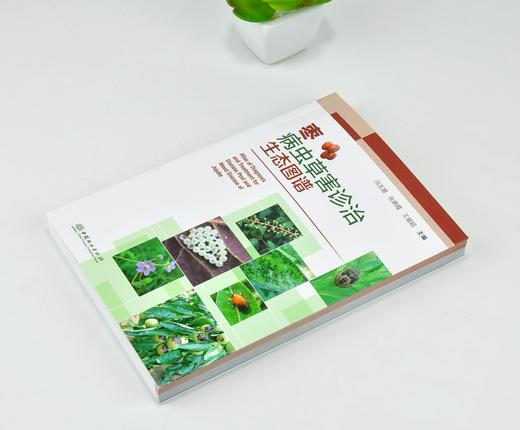 枣病虫草害诊治生态图谱 0221 冯玉增 张艳霞 王留超 枣病害虫害诊断与防治 果园主要杂草识别与防治 工具书 中国林业出版社畅销书 商品图2