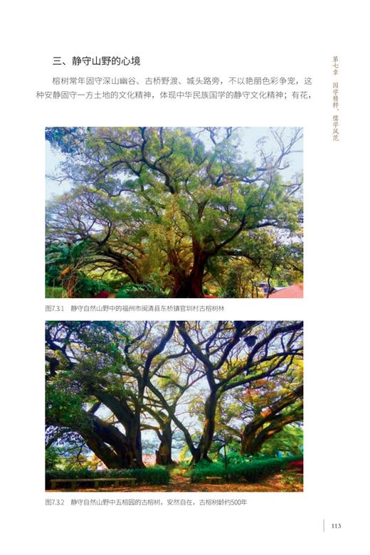 中国榕树文化 林焰 何增明 福州于山寿岩榕乌山奇榕净慈庵骑墙榕福建杨 0762 中国林业出版社 商品图1