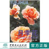 我的养花经验采撷 月季花 3330 朱秀珍 著作 繁殖方法 露地栽培技术 盆花栽培技术 中国林业出版社 畅销书 商品缩略图0