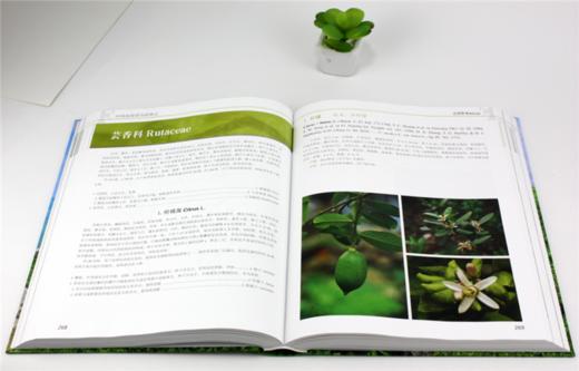 中国南海诸岛植物志 9781 邢福武 邓双文 蕨类植物门 种子植物门 裸子植物亚门 被子植物亚门 中国林业出版社 商品图3