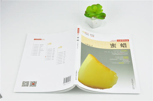 蜜蜡 9970 姚江波 行家带你选 断时代 辨真伪 评价值 为收藏 中国林业出版社 正版畅销书 商品图4
