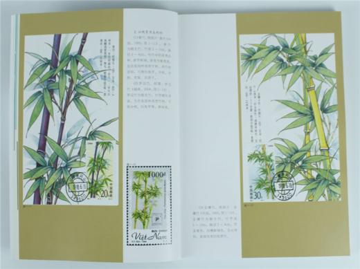 邮话竹子 8885 浙江农林大学森林培育学科建设经费资助 竹林资源 中国林业出版社 畅销书 商品图3