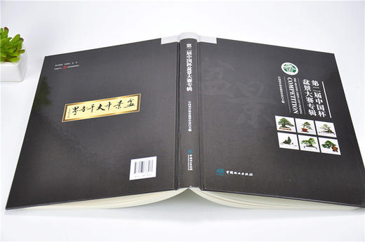 第二届中国杯盆景大赛专辑 8853 石景盆栽制作赏析中国林业出版社官方旗舰店正版畅销书 商品图4