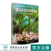 中国云南野生花卉2287WILD FLOWERS OF YUNNAN IN CHINA中国林业出版社正版畅销书籍 商品缩略图0