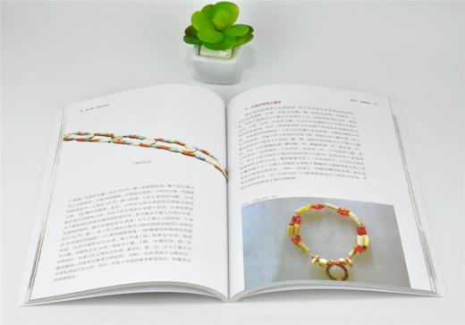 和田玉 行家带你选 9976 姚江波 著 断时代 辨真伪 评价值 为收藏 古物鉴赏书 中国林业出版社 商品图3