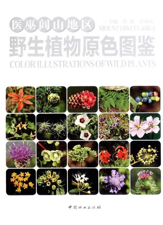 医巫闾山地区野生植物原色图鉴 8125 兰科 天南星科 鸭跖草科 雨久花科 百合科 洋泻科 菊科 蔷薇科 景天科 中国林业出版社畅销书 商品图1