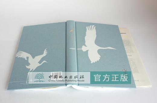守望 江西林业局主编 0332 诗意鄱湖 与鸟同行 守护家园 湿地鸟类保护 鸟识别 中国林业出版社 商品图4