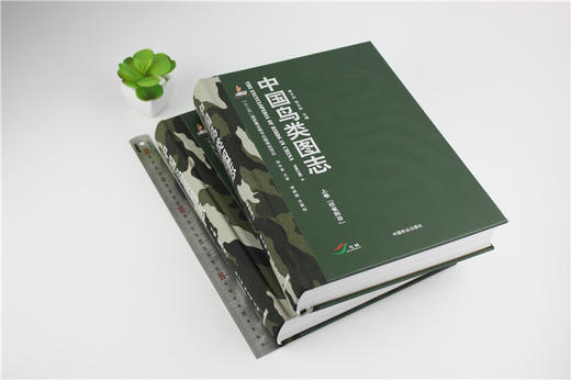 中国鸟类图志 8363 下卷 雀形目 中国鸟类识别 中国林业出版社官方自营店正版畅销书 商品图2