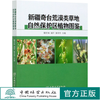 新疆奇台荒漠类草地自然保护区植物图鉴 锡文林//阎平//张云玲 0834 中国林业出版社 商品缩略图0