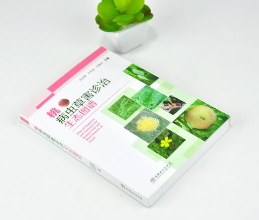 桃病虫草害诊治生态图谱 0235 冯玉增 牛志达 叶春分 桃病害虫害诊断与防治 果园主要杂草识别与防治 工具书 中国林业出版社畅销书 商品图1