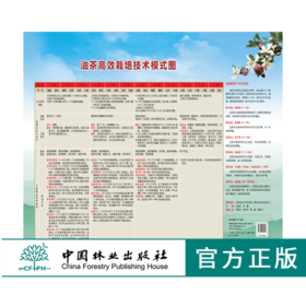 油茶高效栽培技术模式图 9413 生长发育规律 栽培目标与技术 主要病虫草害防治 油茶树的6个生长阶段 挂图 中国林业出版社
